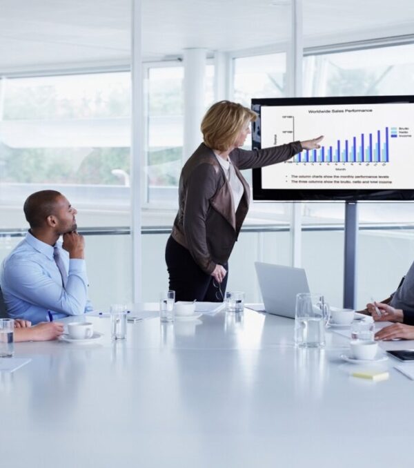 Businesswoman giving presentation to colleagues in conference meeting